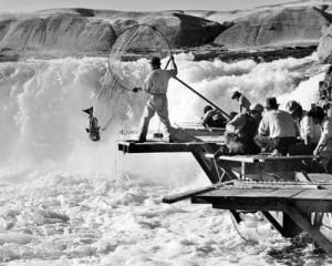celilo 4 Traditional dipnet fishing at Celilo Falls.